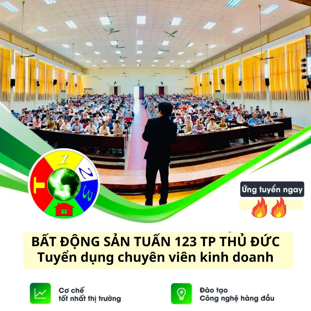 lĩnh vực hoạt động